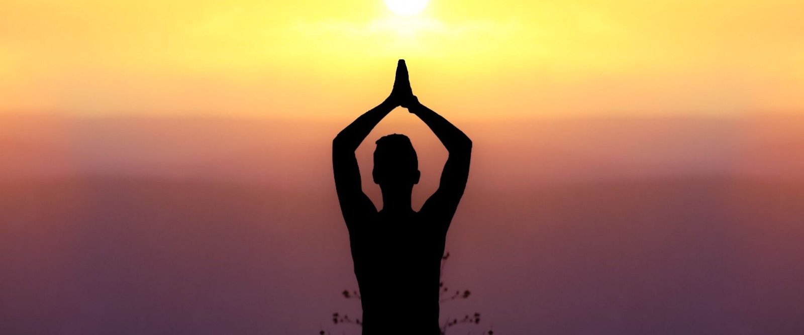 Holistic Wellness in India: Integrating Ayurveda and Modern Medicine for Lasting Longevity