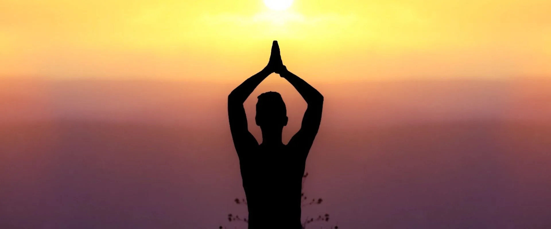 Holistic Wellness in India: Integrating Ayurveda and Modern Medicine for Lasting Longevity Embracing Holistic Wellness
