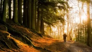 Why Gen Z Is Obsessed With ‘Silent Walking’ — The New Mind Cleanse Trend Taking Over India 1 Silent Walking