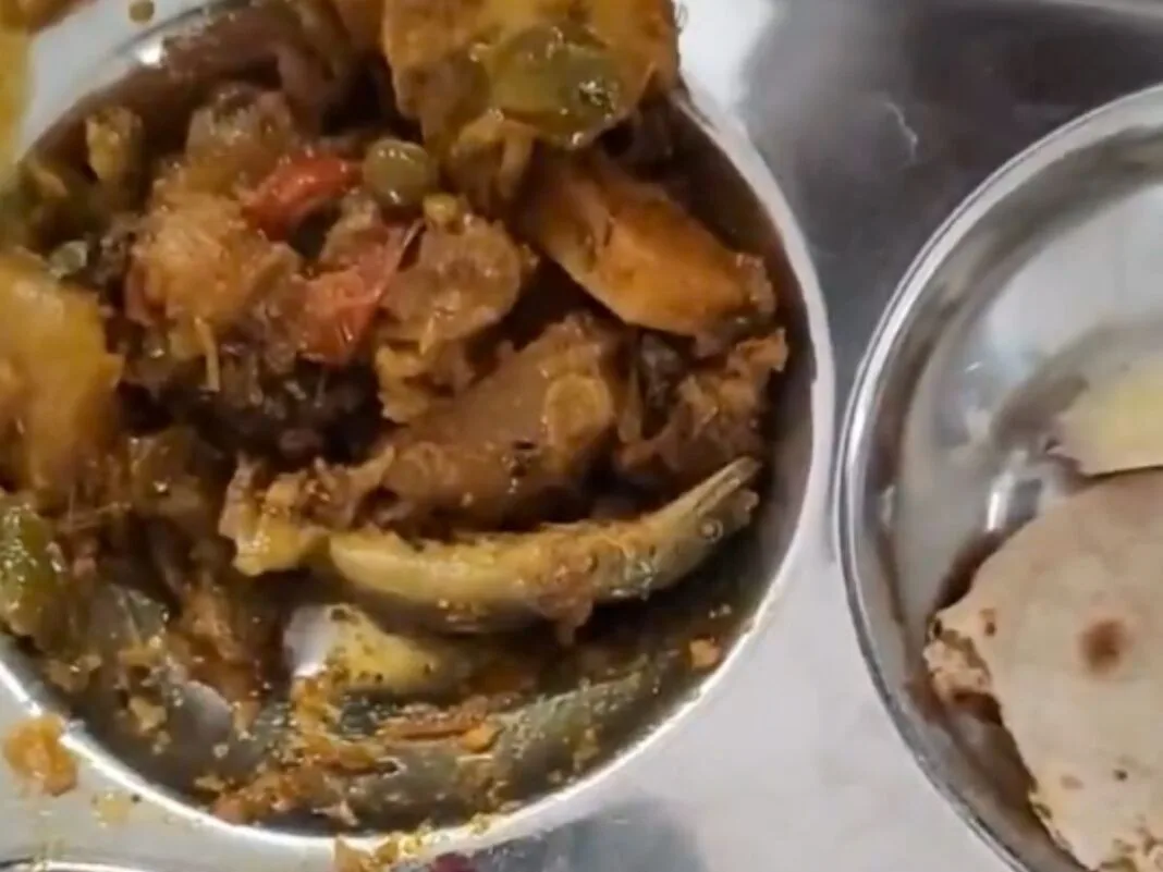 Lizard or Capsicum? Bhopal University Canteen Row Goes Viral After Staff’s Shocking Claim bhopal-lizard-food