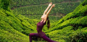 The Role Of Yoga And Meditation