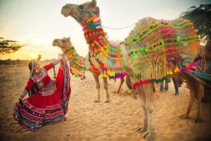 Jaipur Happiest City 2026: Why The Pink City Ranked 6Th In The World 25 Jaipur Culture